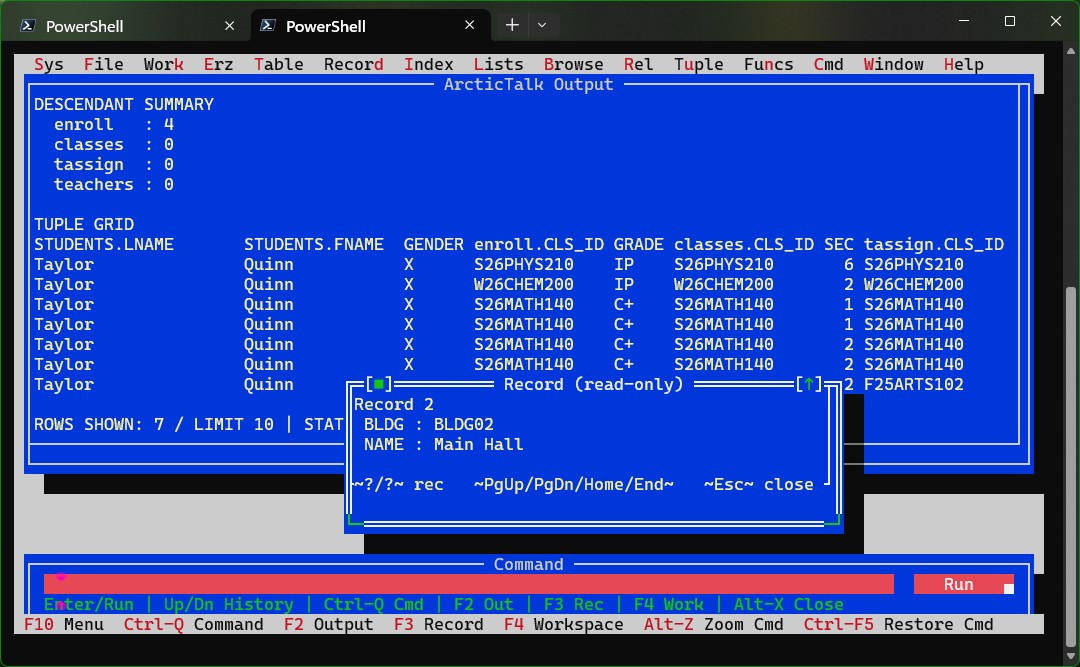 ArcticTalk terminal TUI showing tuple grid and record popup